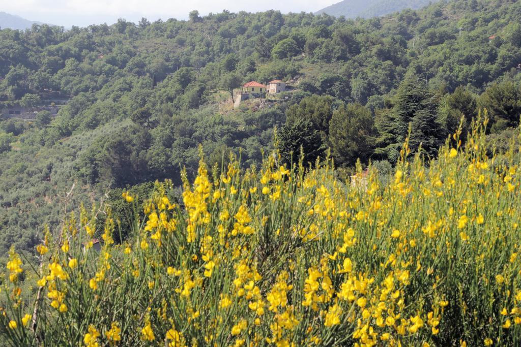 Case Natura Pontedassio Exterior photo